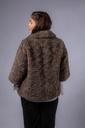 40508_TP_Back